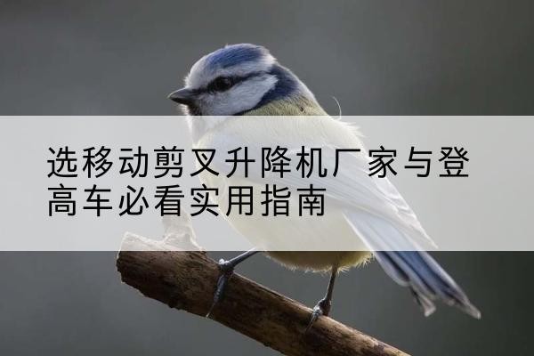 张店电动升降机厂家-选移动剪叉升降机厂家与登高车必看实用指南