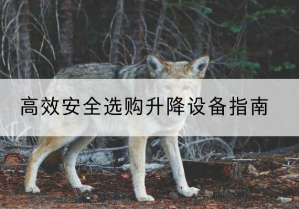 张店升降货梯厂家推荐-*安全选购升降设备指南