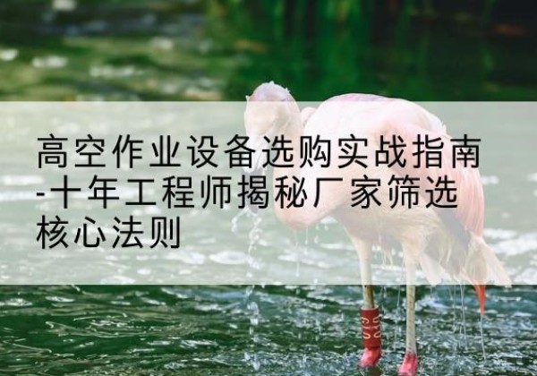 张店剪叉式升降机厂家-高空作业设备选购实战指南-十年工程师揭秘厂家筛选核心法则